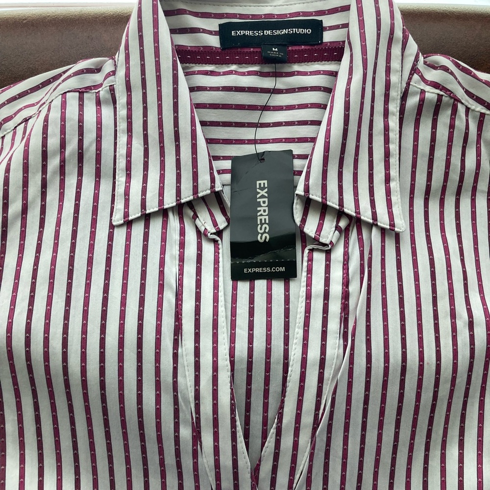 Striped Shirt, Express - Picture 3 of 9